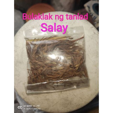 swerte gaming.net|Iba pa.